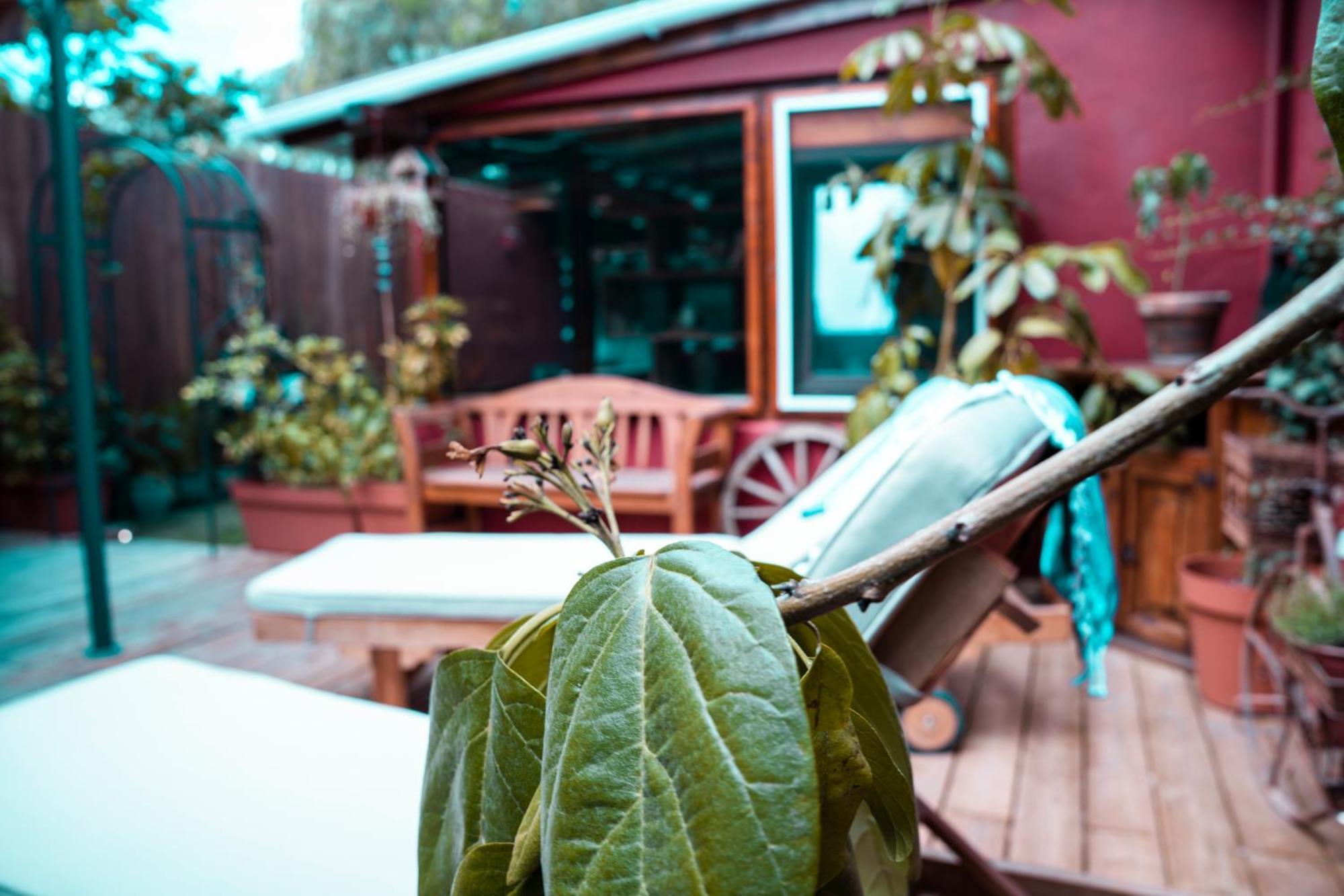 Villa Lajares Red House Fuerteventura 外观 照片
